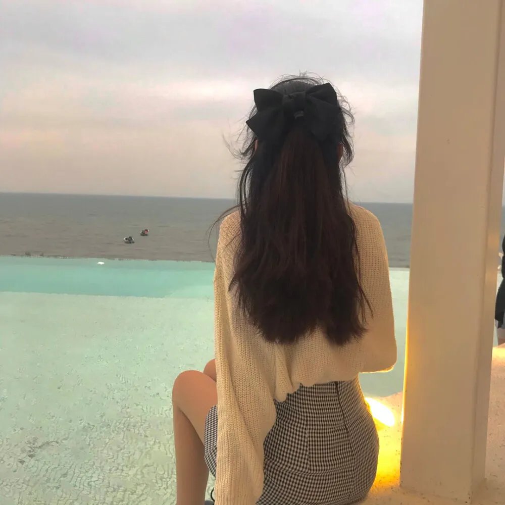 陆昭昭的刺客笔记